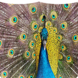com.suntaban.tvos