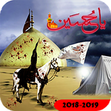 moharam.ashora