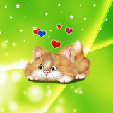 com.livewallpapers3d.funnycat