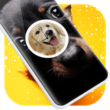 paris.dog.clock.lwp