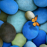 revenge.livewp.stone