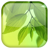 com.androidwasabi.livewallpaper.s4leaf