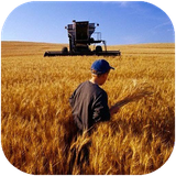 parvaz.keshavarzivashilat