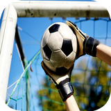 ir.tinasoft.goalkeeper_training