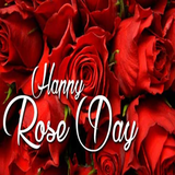 com.techzit.roseday