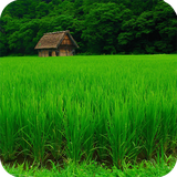 com.agriculturewallpaper.wallpaper.hdwallpaper