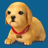 com.carltonbooks.myperfectpuppy