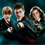 co.ad.harrypotter