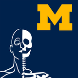 edu.umich.mobile.idt.head_and_neck_anatomy
