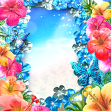 hibiscus.free.livewallpaper