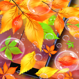 com.celestialas.autumnleaveslivewallpaper