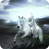 buy.delneshin.emamzaman