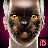 com.goldenfactoryrabbits.whatareyoucatfaceidscanner