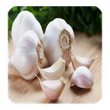 com.papole.sg.sirdarmani