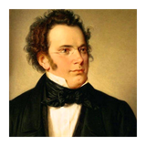 com.HtProduct.Peter_Schubert