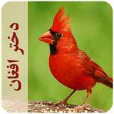 com.imnet.dokhtareafghan