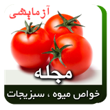 mirian.miveh.test