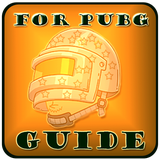 com.webguide.forpubg
