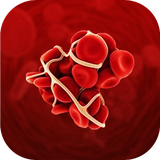 com.hiox.nternialNmalizedRiNRCalculi