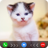 com.lovecatvideocall.catvideocallreal