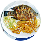 ir.shina.Fish