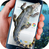 zohani.app.cro