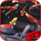 koi.wibr.com