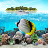 com.blackbirdwallpapers.tropicaloceanlivewallpaperfree