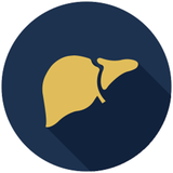 cew.liver.fat.rt