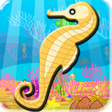 air.com.quicksailor.FindingSeahorses