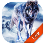 mobi.infolife.ezweather.livewallpaper.icewolf
