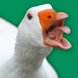 com.fts.untitled.angry.goose.simulator.rampage.game
