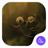 com.apusapps.theme.i_the_desire_of_the_dandelion_ec6a6c9ce0