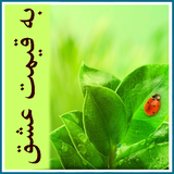 roman.irir.beghimateeshgh