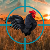 com.bigbear.crazychickenhunt