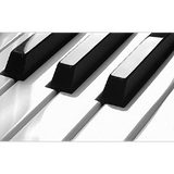 org.esteban.piano