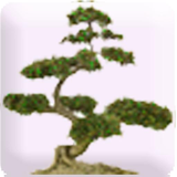 com.excelatlife.motivation