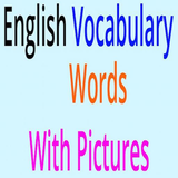 com.techzit.vocabbuilderbyimages