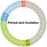 com.juanbeltran.periodandovulation