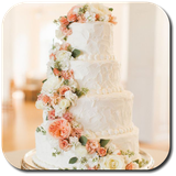 com.weddingcakes.devoscar.app