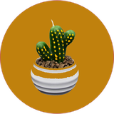 com.khorshid_sqltlm.kactus