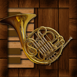 tr.com.alyaka.alper.professionalfrenchhorn