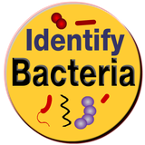 air.bacteria.identification