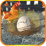 klb.crack.the.egg