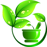 ir.omidyousefi.apps.plants.books