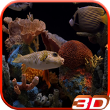 aquariumlwp3d.wibr.com