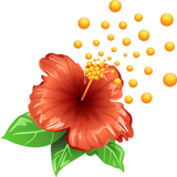 mir.unknown.myapp.Golkhane