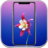 com.wallpaperforiphoneX87654.wallpapers