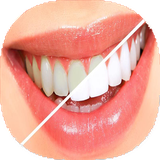 com.mnz_t.sefiddandan