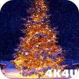 com.lwp4k4u.tree